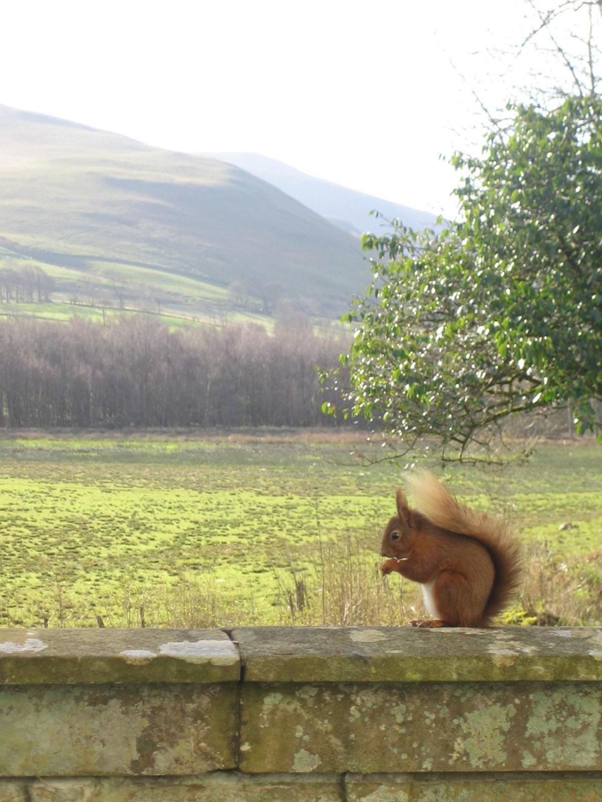 Overwater Hall Bassenthwaite Buitenkant foto
